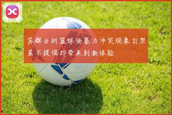 苏群分析篮球场暴力冲突现象打架虽不提倡却带来刺激体验